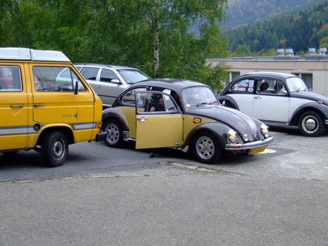 fot.Miniu
