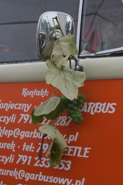 fot.Artek 104.jpg