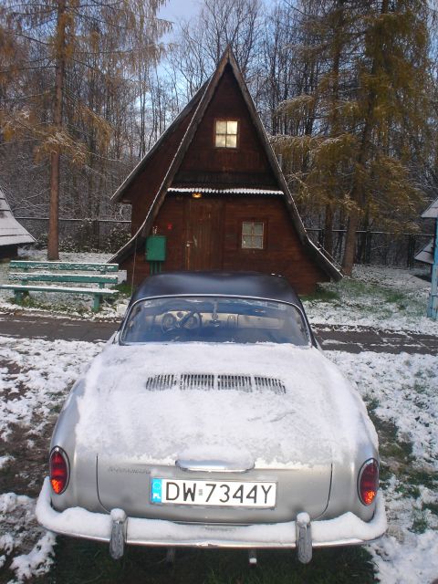 fot.Artek