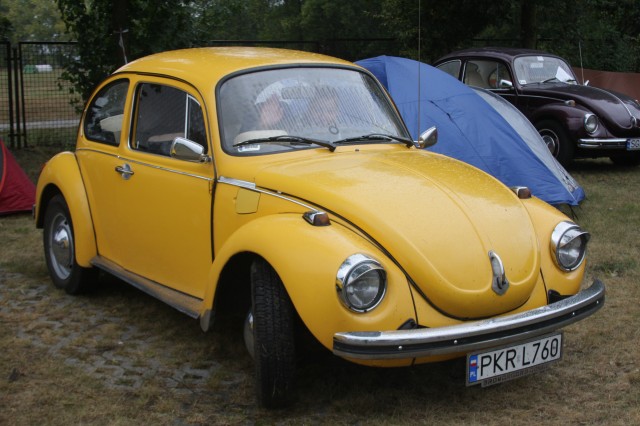 fot.Artek 108.jpg