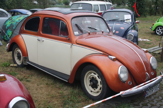 fot.Artek 114.jpg