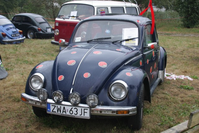 fot.Artek 115.jpg
