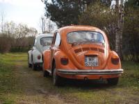 fot.Rafał Pisulewski