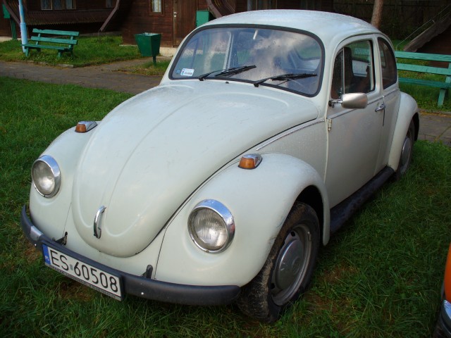 P1010492.jpg