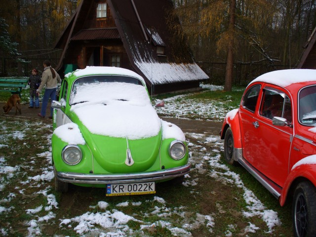 P1010509.jpg