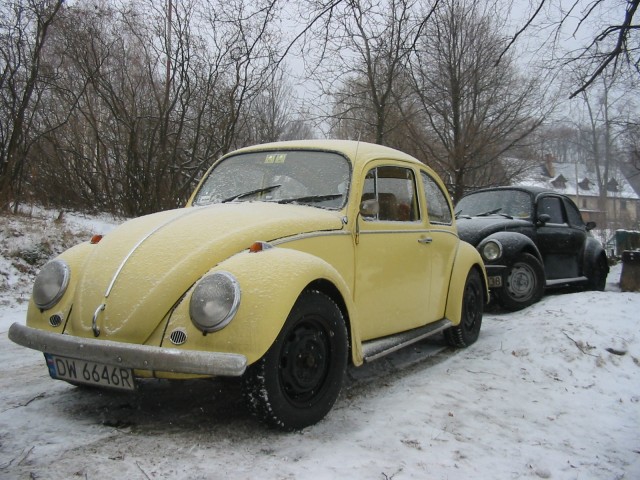 fot.Jurek