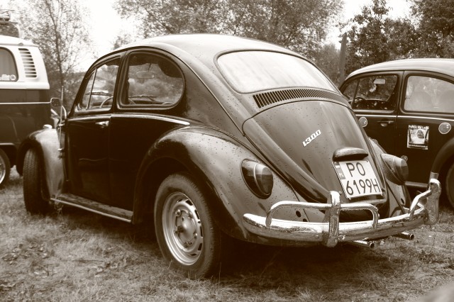 fot.Artek 331.jpg