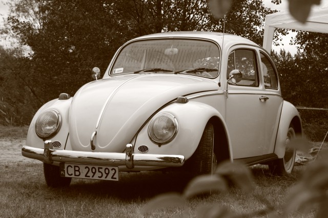 fot.Artek 367.jpg