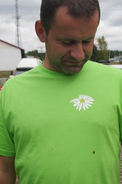 fot.Artek 382.jpg