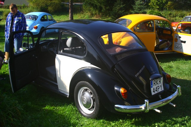 fot.Artek 202.jpg
