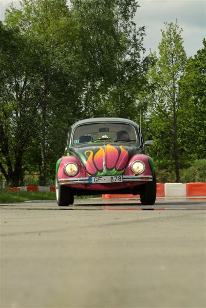 fot.Artek 488