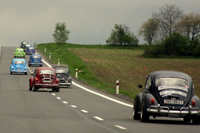 fot.Artek 183.jpg