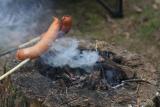 fot.Artek (canon) - ognisko w pniaczku ;)