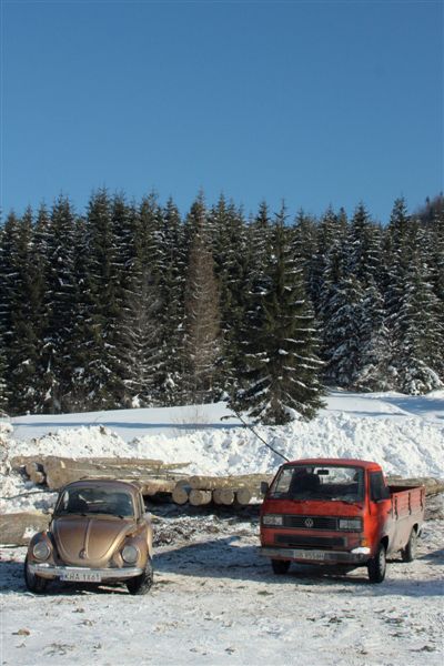 fot.Artek 286