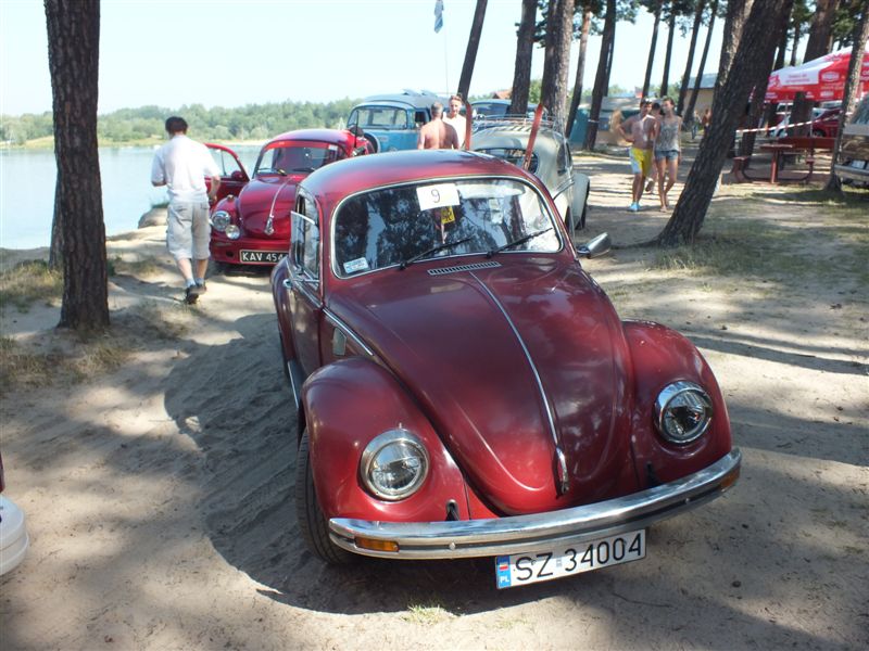 fot.Wiśniok