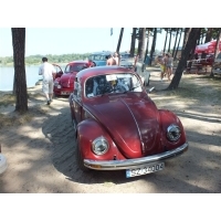 fot.Wiśniok