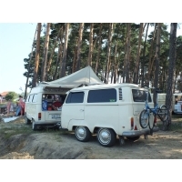 fot.Wiśniok
