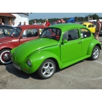 fot.Wiśniok