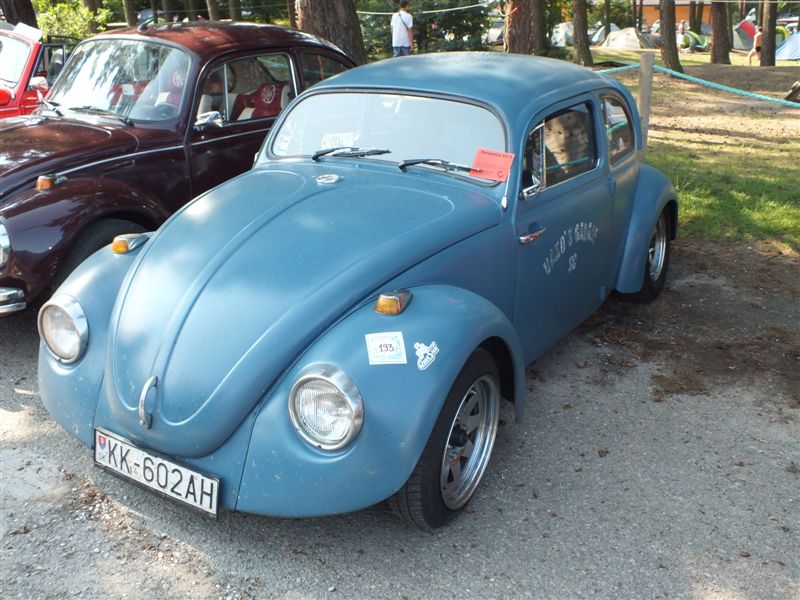 fot.Wiśniok
