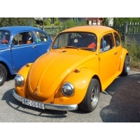 fot.Wiśniok