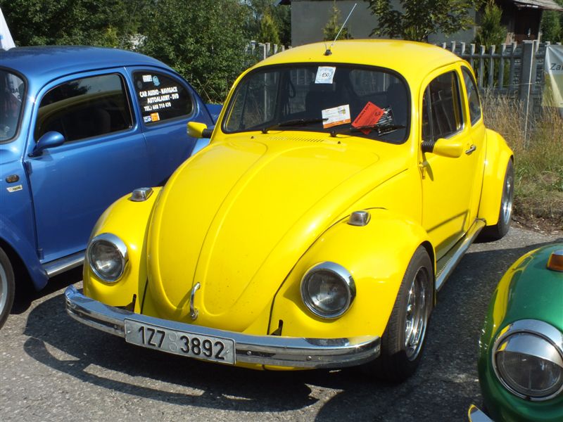 fot.Wiśniok