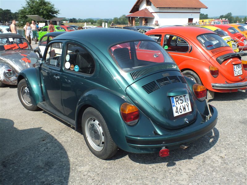 fot.Wiśniok