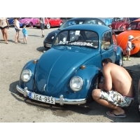fot.Wiśniok