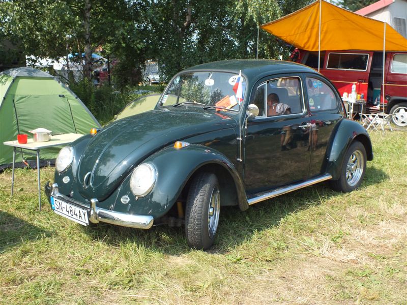 fot.Wiśniok
