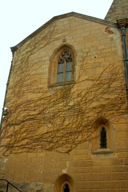 fot.Artek 249.jpg
