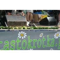 fot.Puklorze