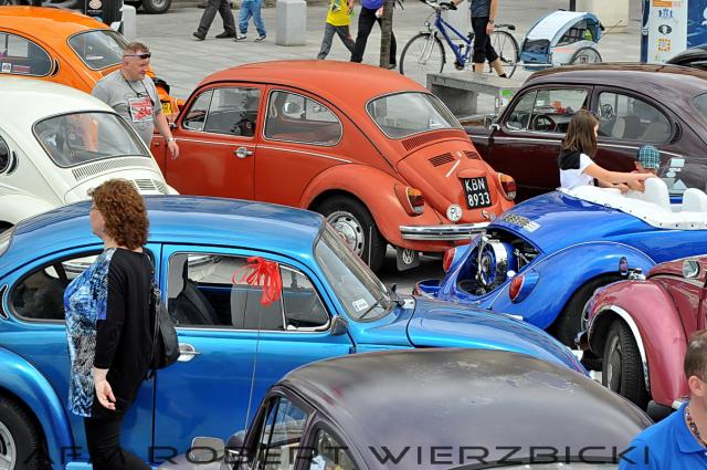 fot.Robert Wierzbicki