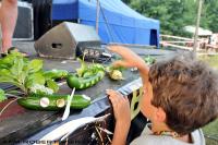 fot.Robert Wierzbicki