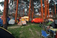 fot.Robert Wierzbicki