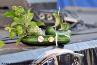 fot.Robert Wierzbicki