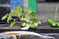 fot.Robert Wierzbicki