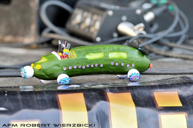 fot.Robert Wierzbicki