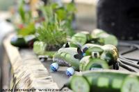 fot.Robert Wierzbicki