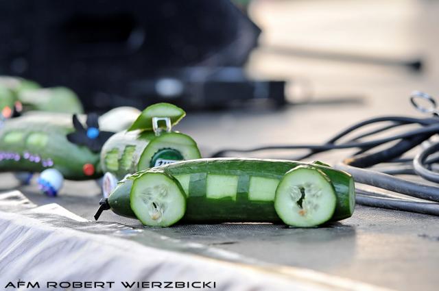 fot.Robert Wierzbicki