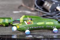 fot.Robert Wierzbicki