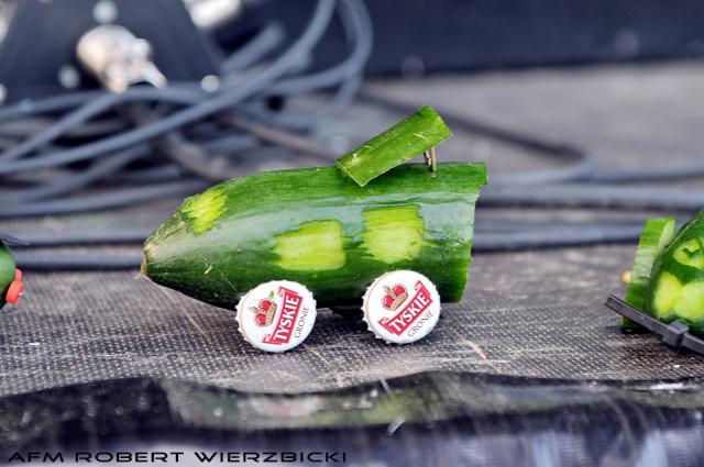 fot.Robert Wierzbicki