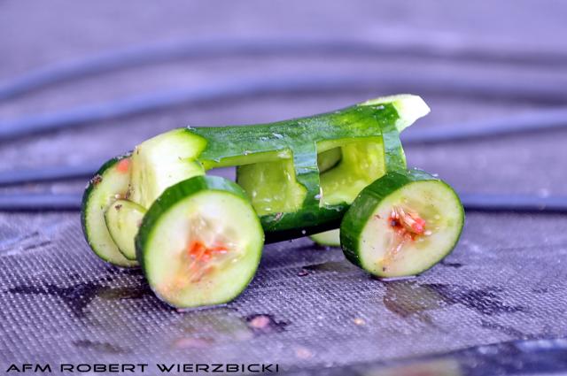 fot.Robert Wierzbicki