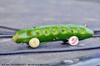 fot.Robert Wierzbicki