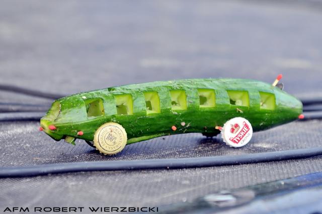 fot.Robert Wierzbicki