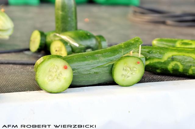 fot.Robert Wierzbicki