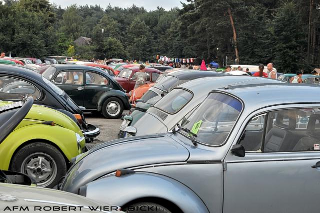 fot.Robert Wierzbicki