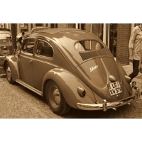 fot.Artek 604