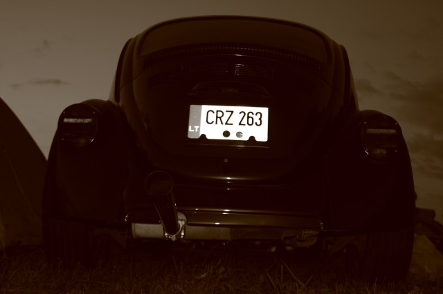 fot.Artek(canon) 
