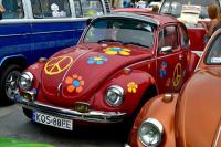 fot.Dorota Białkowska