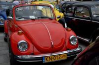 fot.Dorota Białkowska