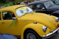 fot.Dorota Białkowska